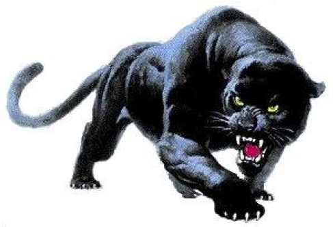 Panther 